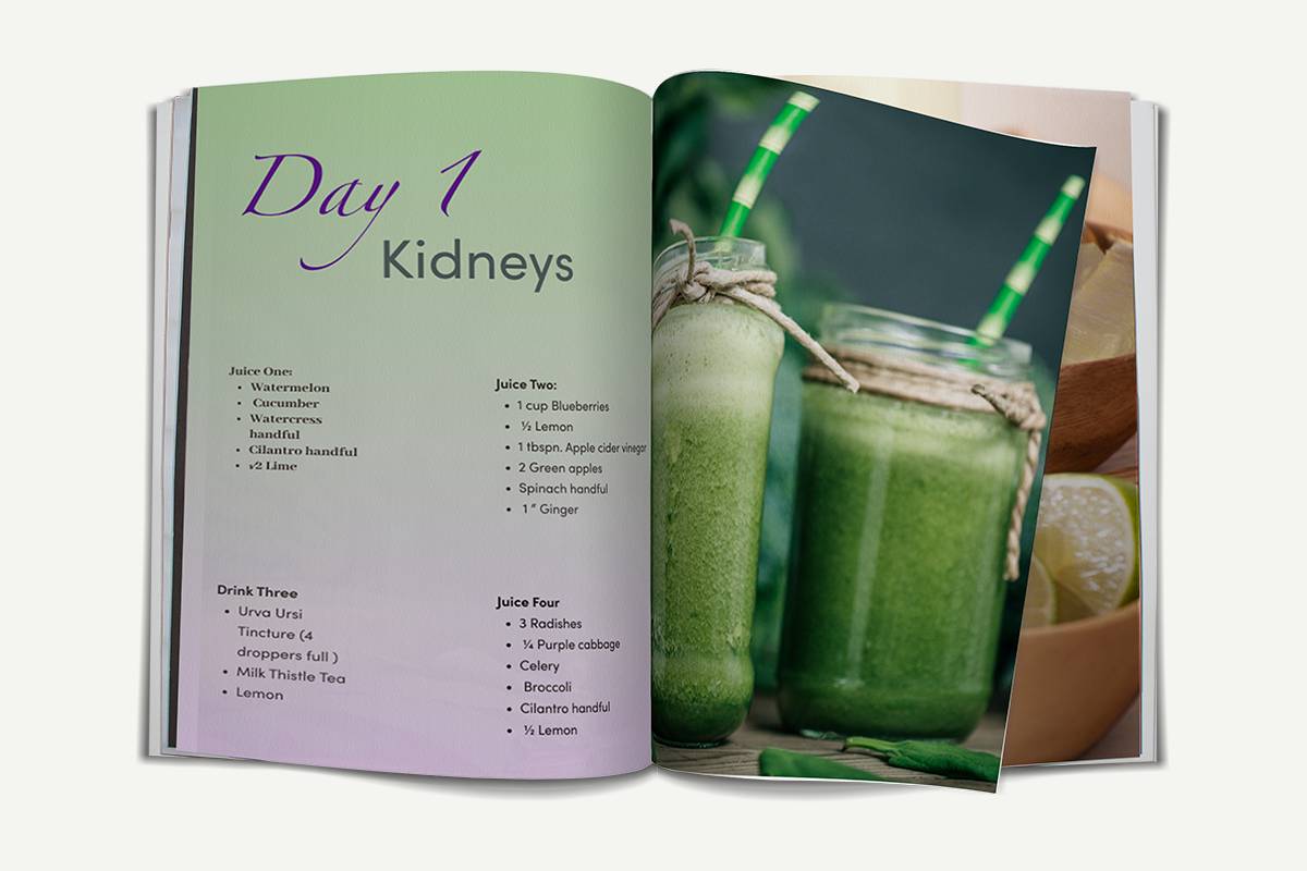 whole-body-5-day-detox-cleanse-e-book-digital-hana-hou-juice-co