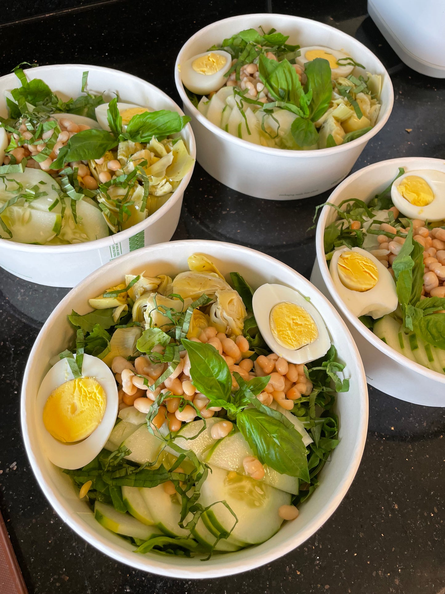 
                  
                    Executive Tier ($1200/week) Reset & Recovery Executive Package — Daily Theraputic Nutrition for Metabolic, Immune, and Recovery Support
                  
                