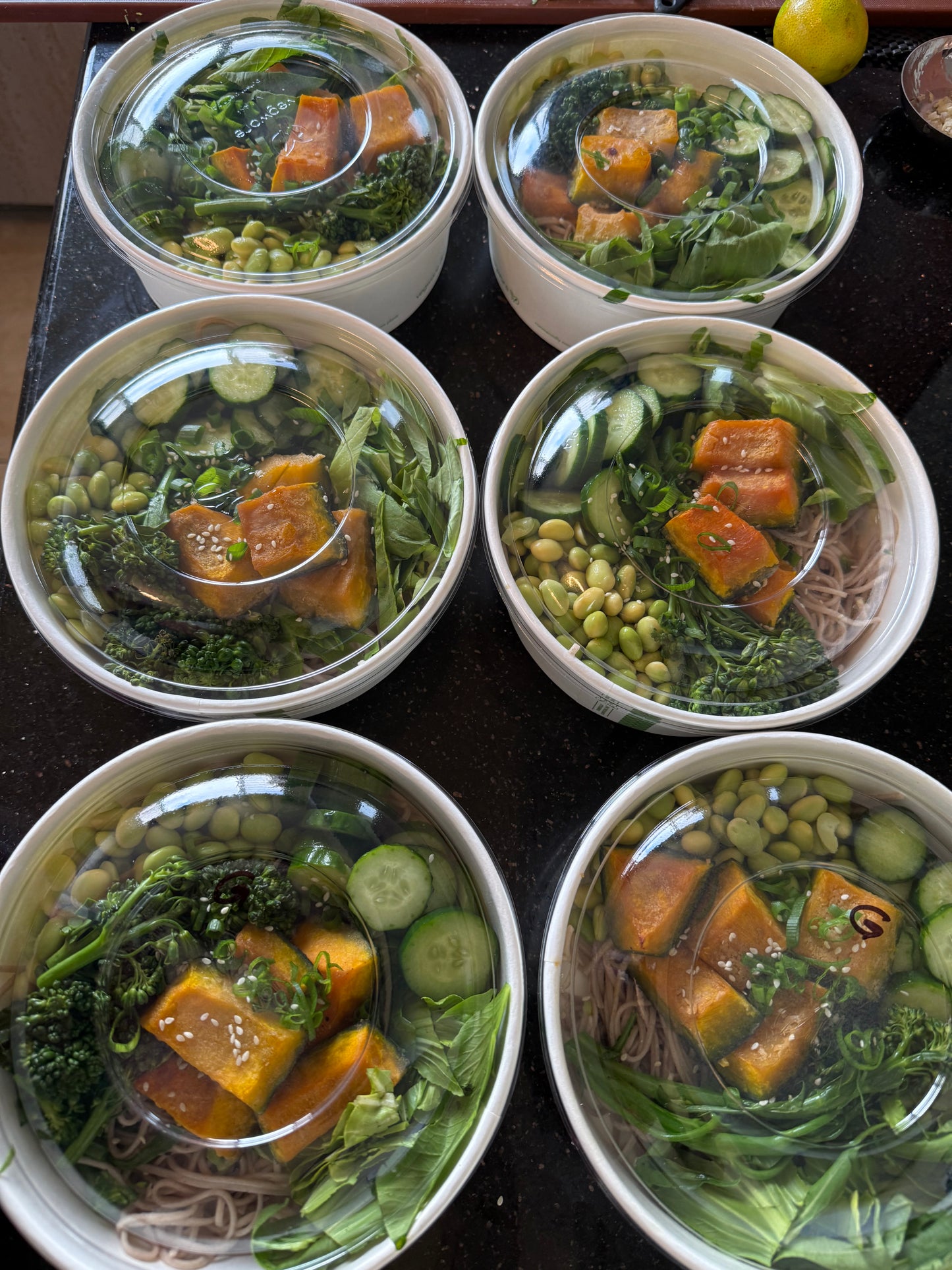 
                  
                    Executive Tier ($1200/week) Reset & Recovery Executive Package — Daily Theraputic Nutrition for Metabolic, Immune, and Recovery Support
                  
                