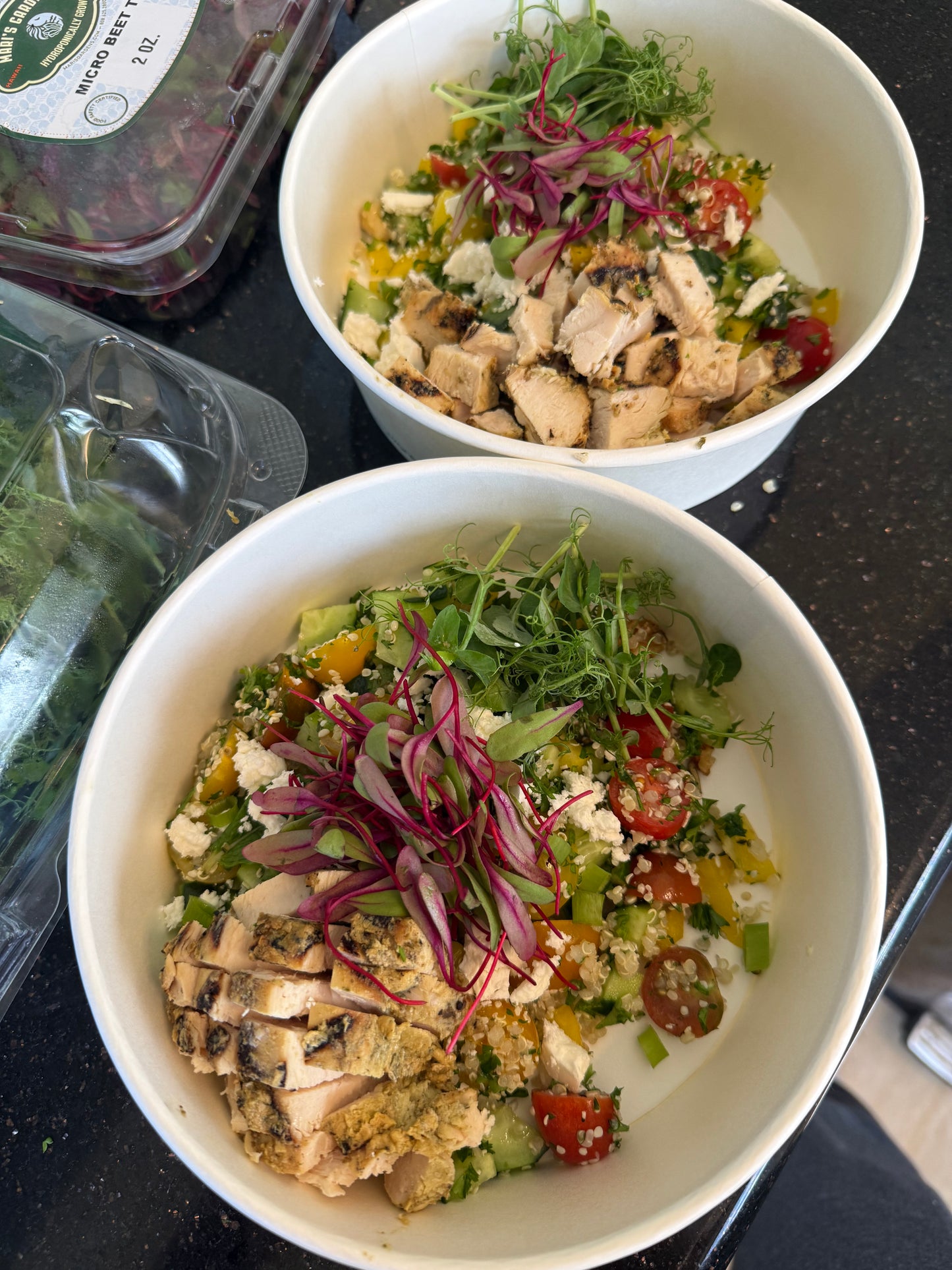 
                  
                    Executive Tier ($1200/week) Reset & Recovery Executive Package — Daily Theraputic Nutrition for Metabolic, Immune, and Recovery Support
                  
                