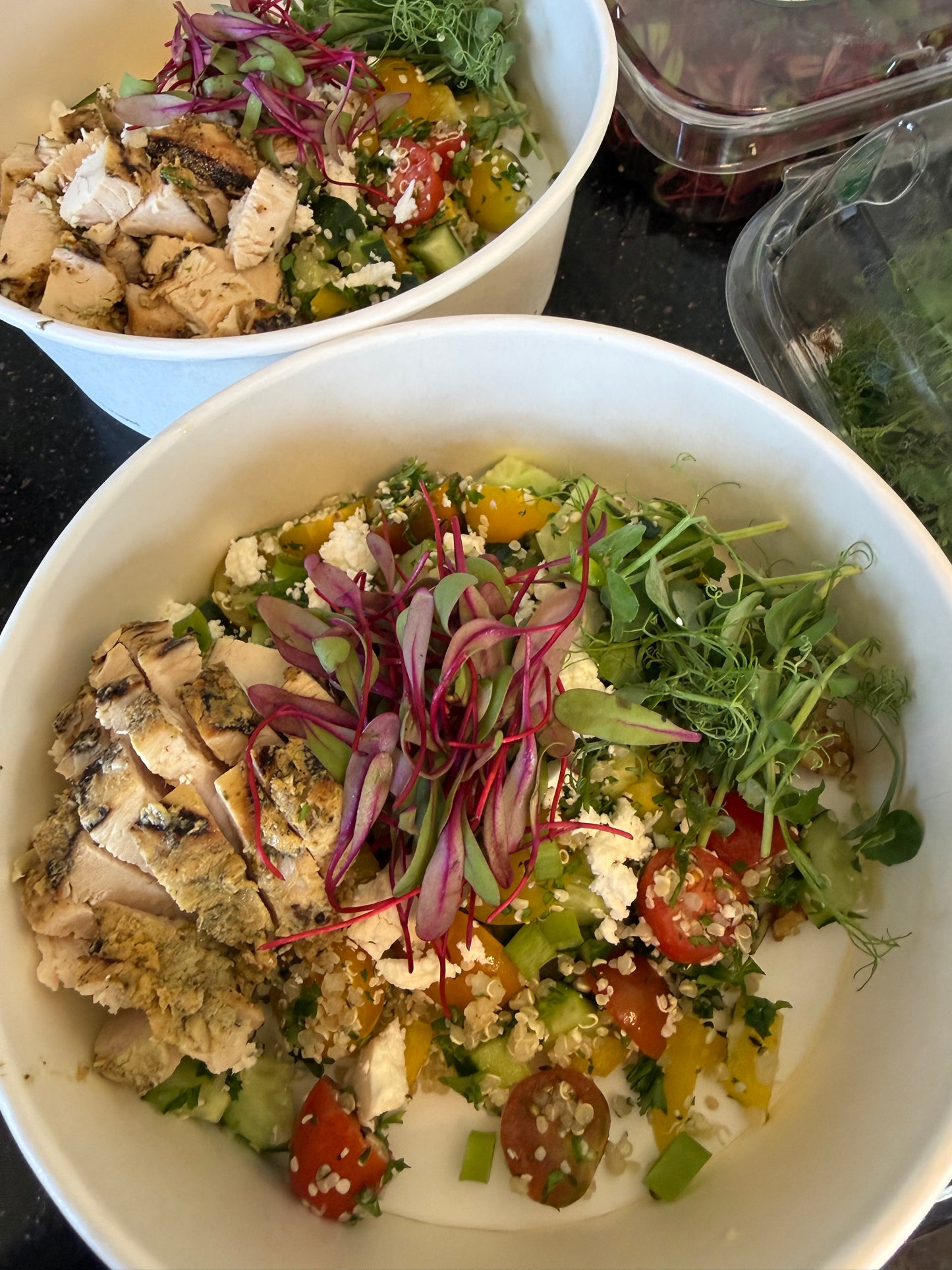 
                  
                    Executive Tier ($1200/week) Reset & Recovery Executive Package — Daily Theraputic Nutrition for Metabolic, Immune, and Recovery Support
                  
                