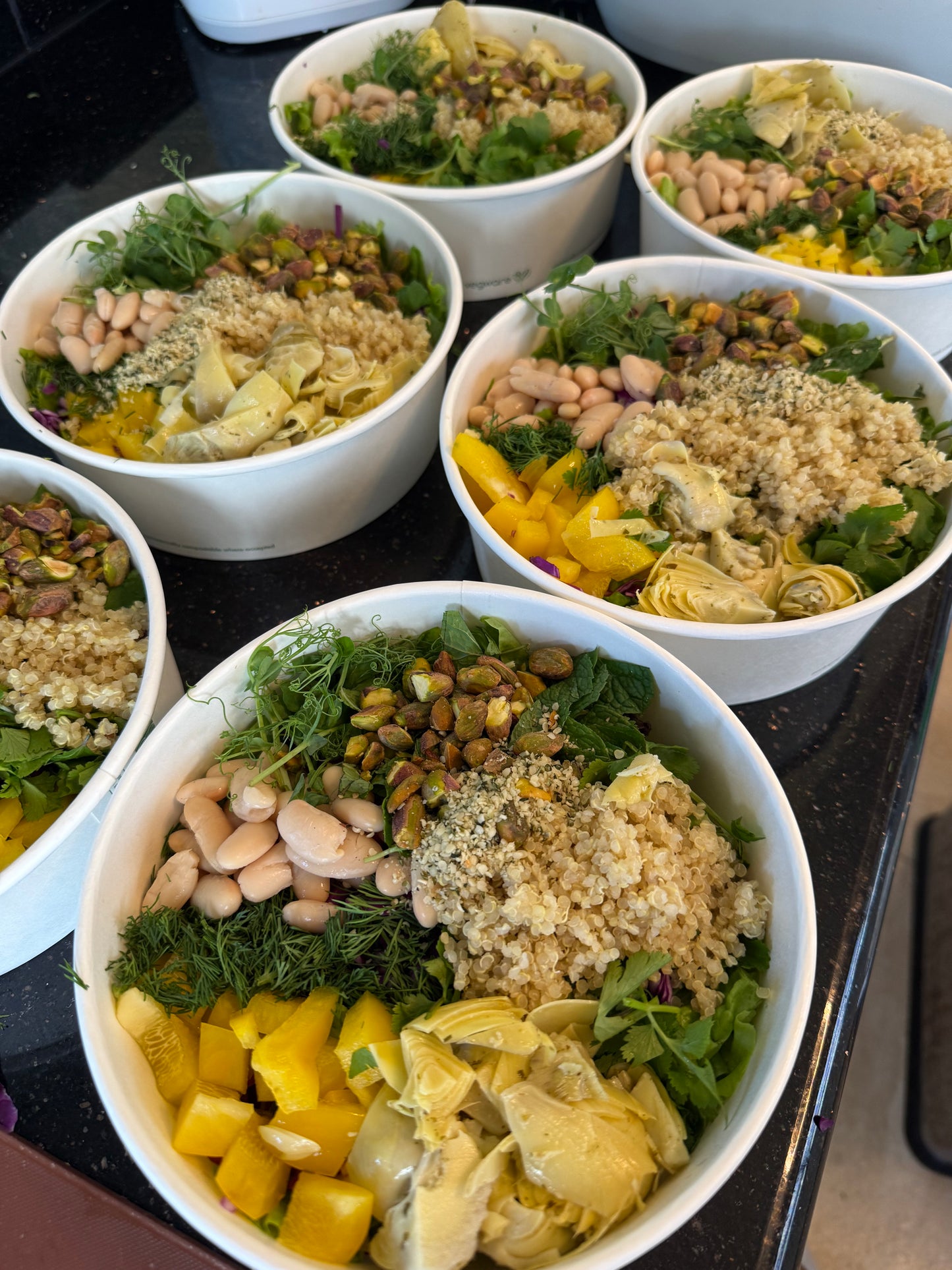 
                  
                    Executive Tier ($1200/week) Reset & Recovery Executive Package — Daily Theraputic Nutrition for Metabolic, Immune, and Recovery Support
                  
                