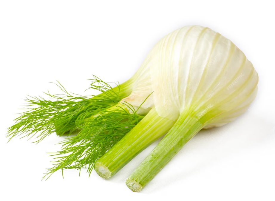 Fennel