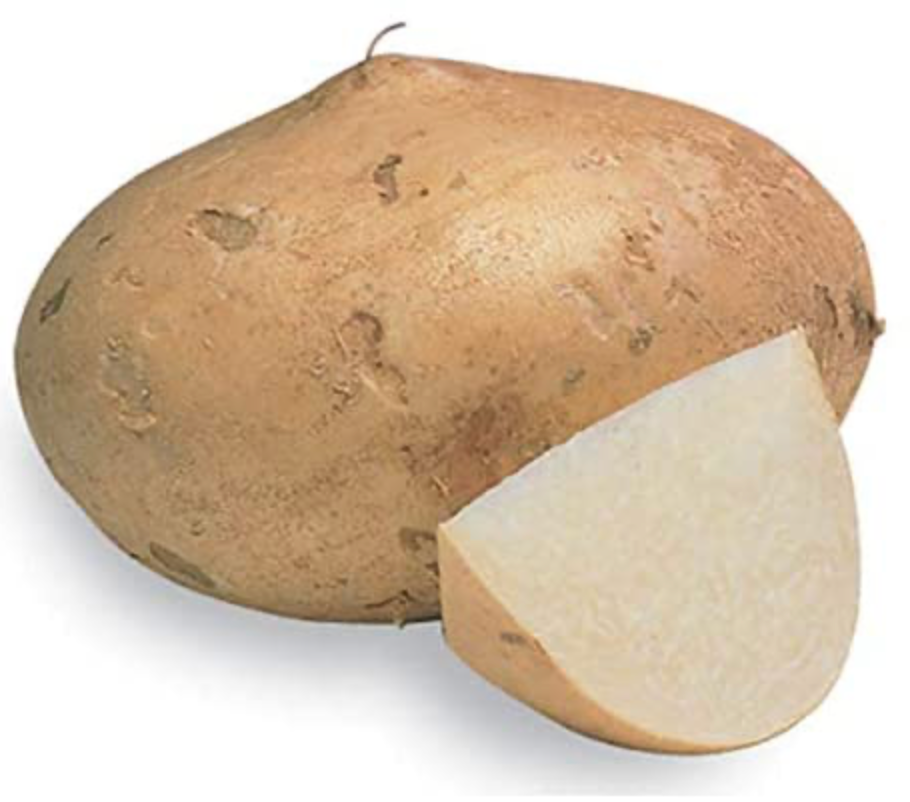 Jicama