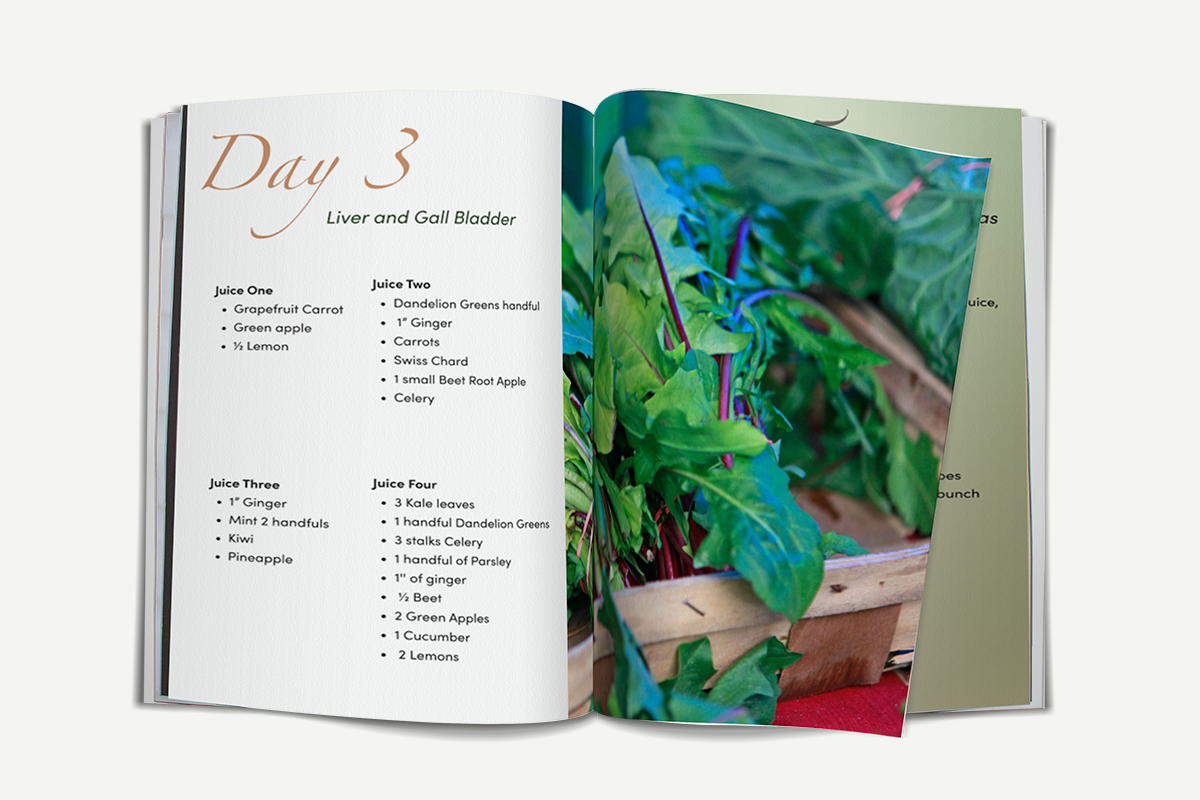 
                  
                    Whole Body 5 Day Detox Cleanse E-Book (Digital)
                  
                