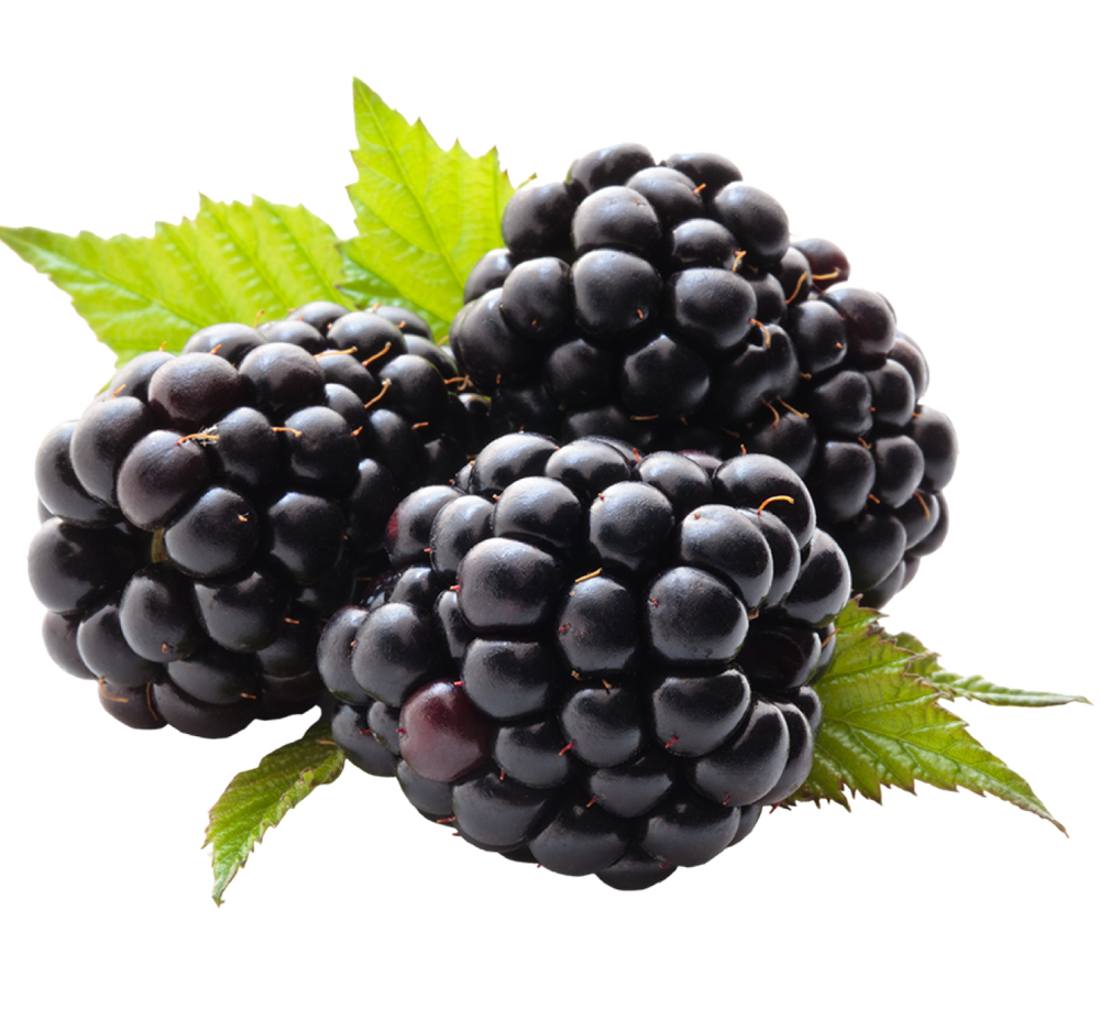 Blackberries