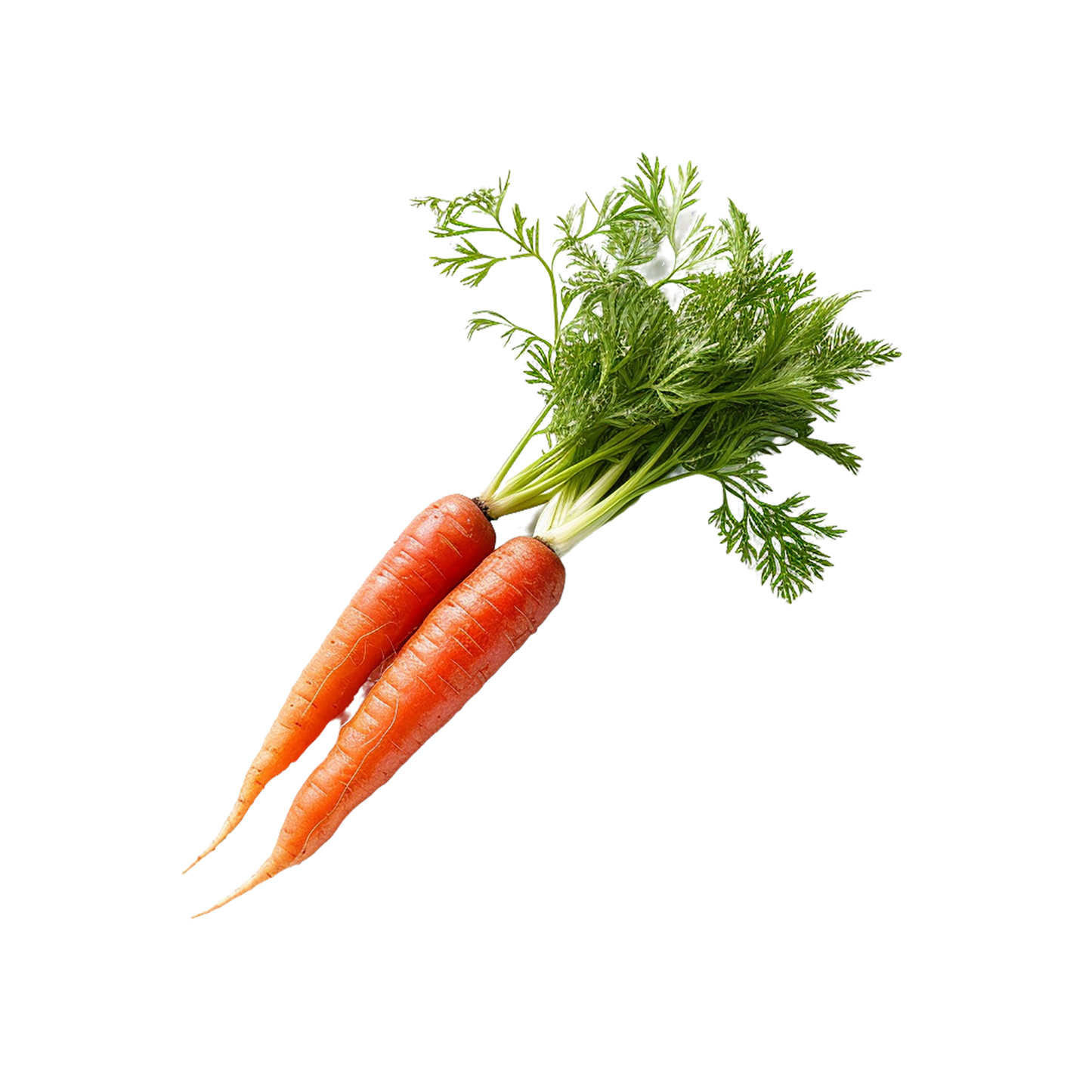 Carrots